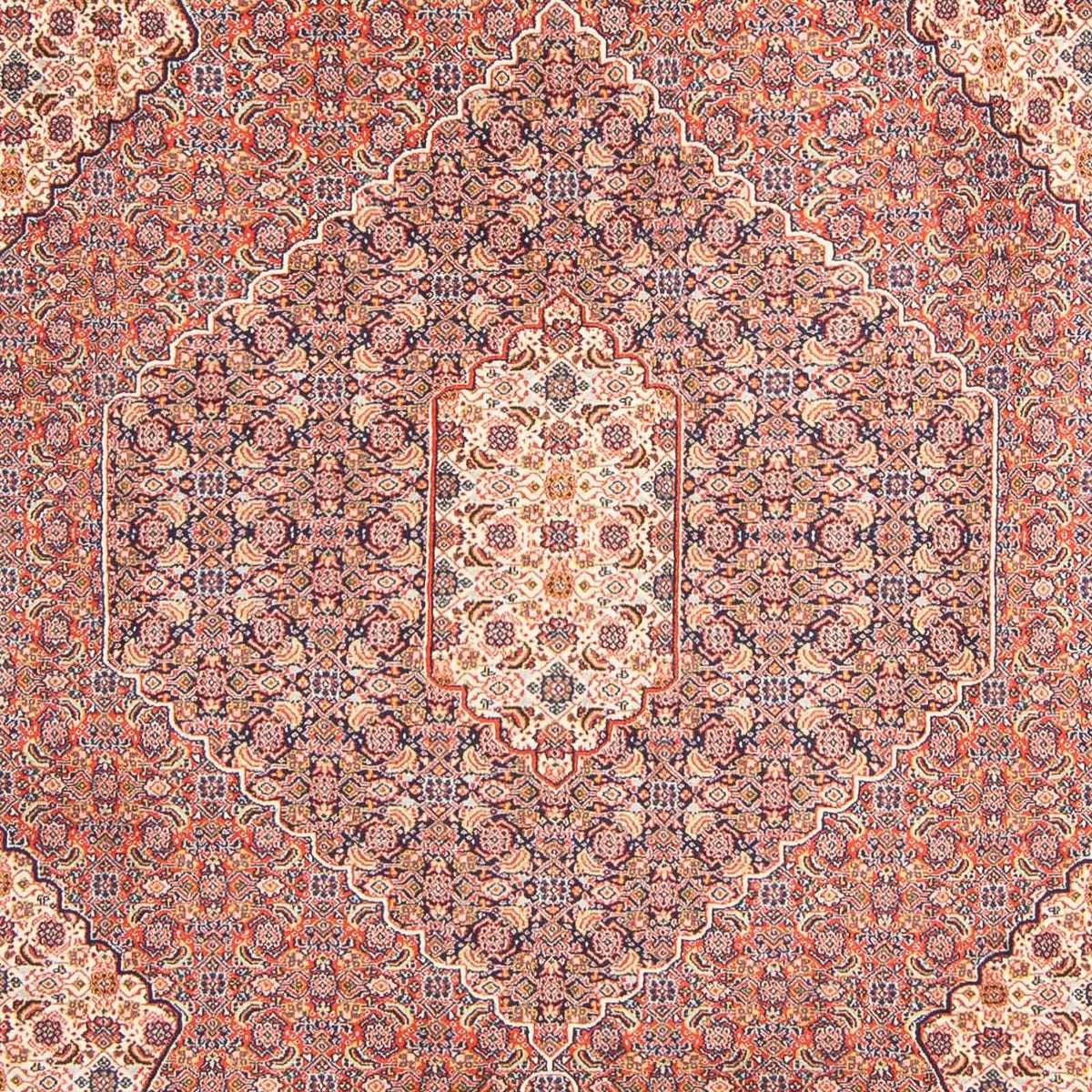 Tapis persan - Nomadic - 293 x 204 cm - marron clair