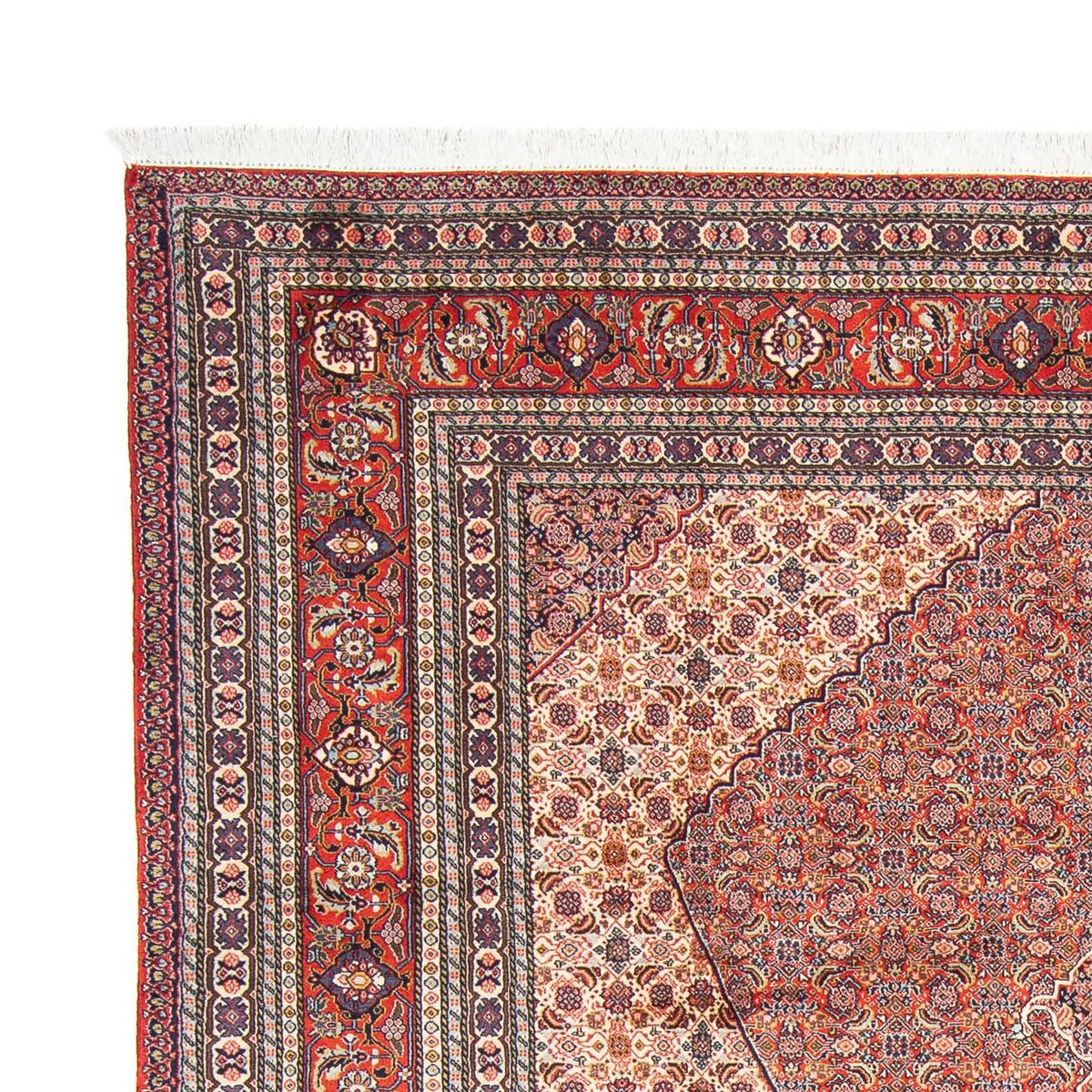 Tapis persan - Nomadic - 293 x 204 cm - marron clair