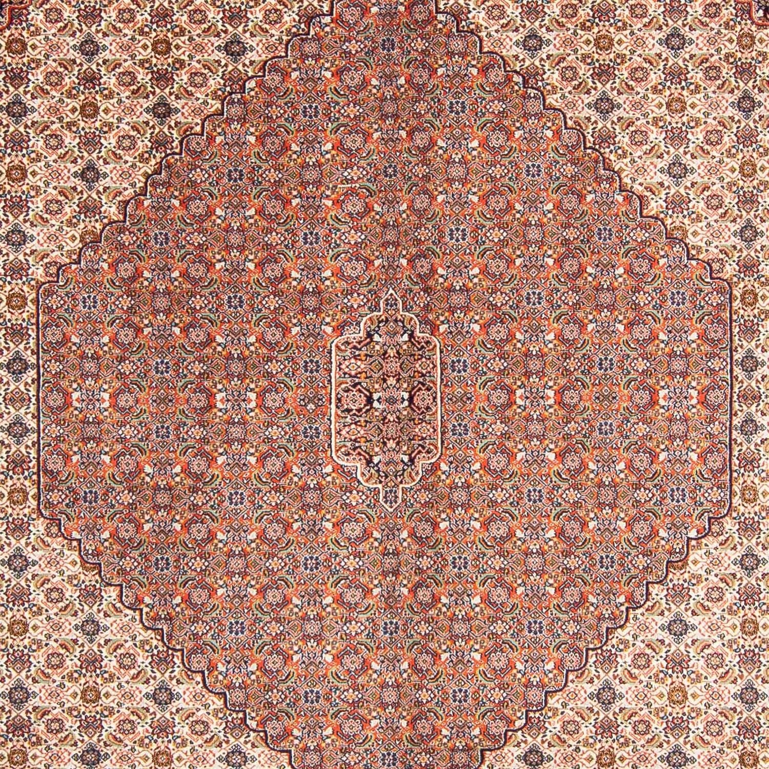 Tapis persan - Nomadic - 313 x 212 cm - marron clair