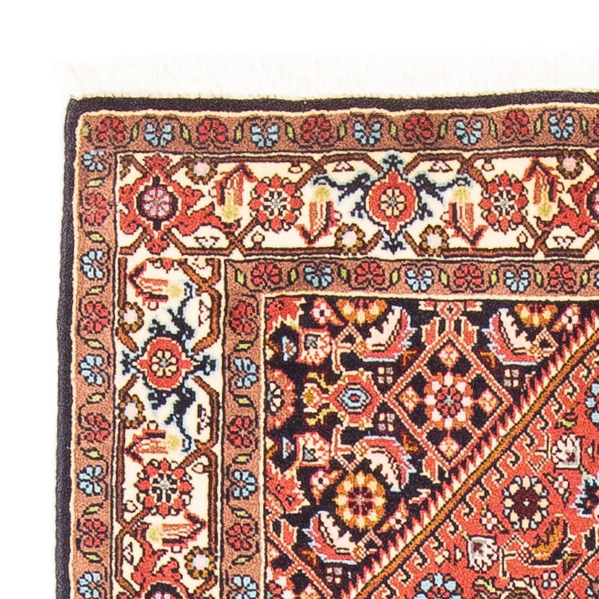 Bidjar - Zanjan Tapis 81x150cm - Tapis persan