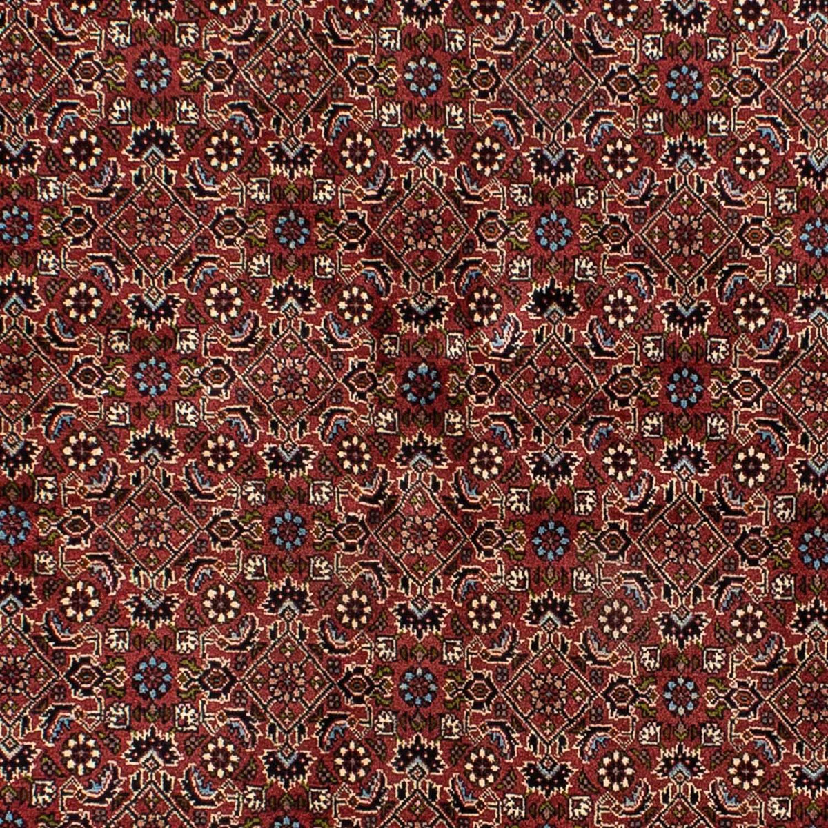 Tapis persan - Bidjar - 205 x 141 cm - rouge foncé