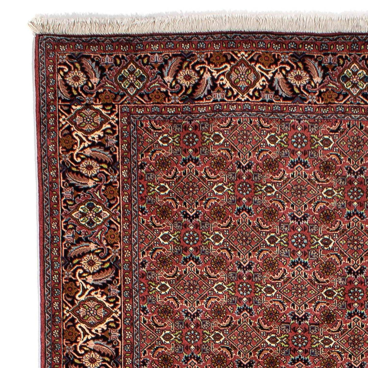 Tapis persan - Bidjar - 246 x 170 cm - rouge foncé