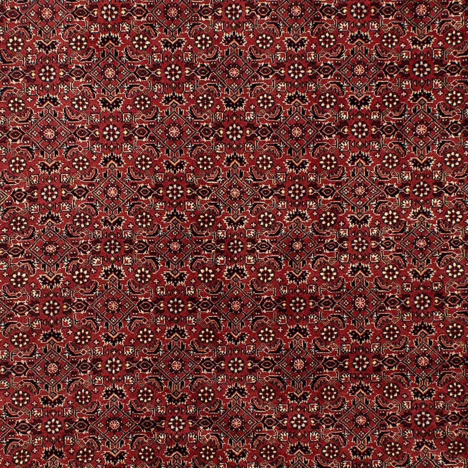 Tapis persan - Bidjar - 297 x 197 cm - rouge foncé