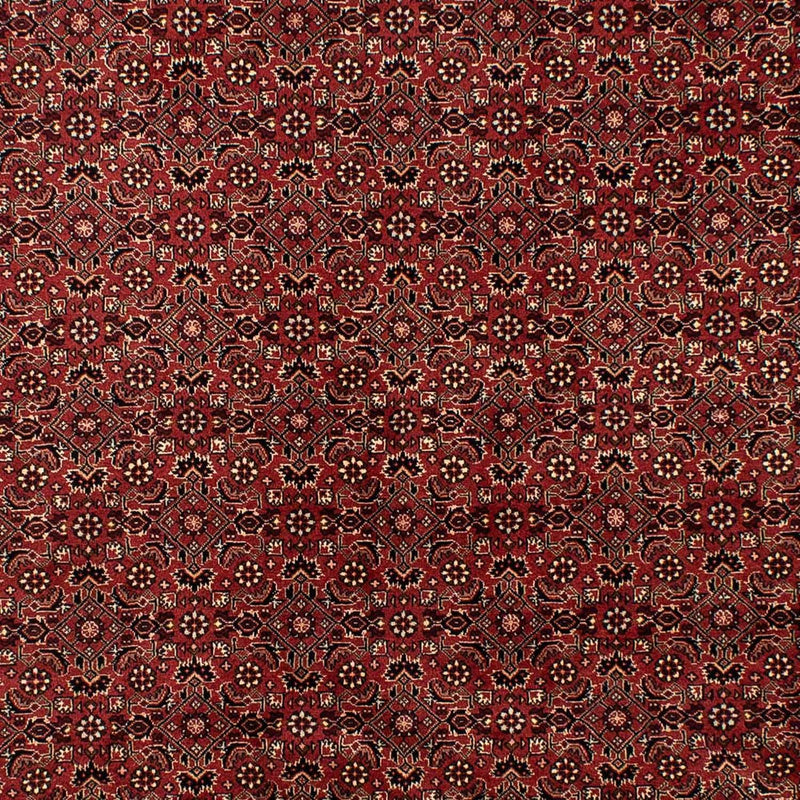 Tapis persan - Bidjar - 297 x 197 cm - rouge foncé