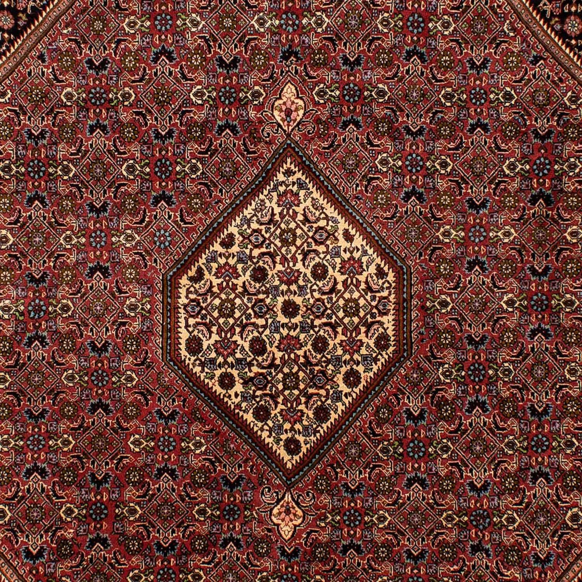 Tapis persan - Bidjar - 288 x 202 cm - marron