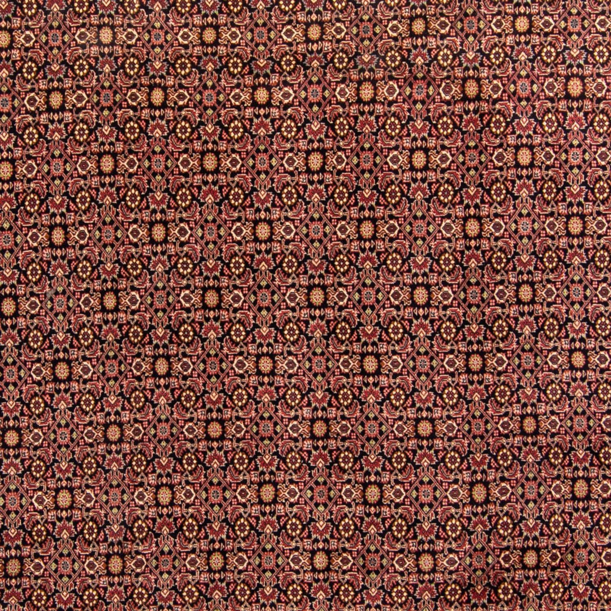 Tapis persan - Bidjar - 343 x 254 cm - marron