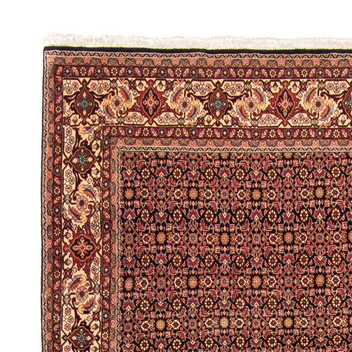 Tapis persan - Bidjar - 343 x 254 cm - marron