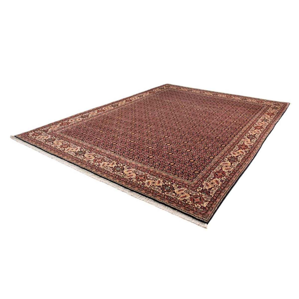 Tapis persan - Bidjar - 343 x 254 cm - marron