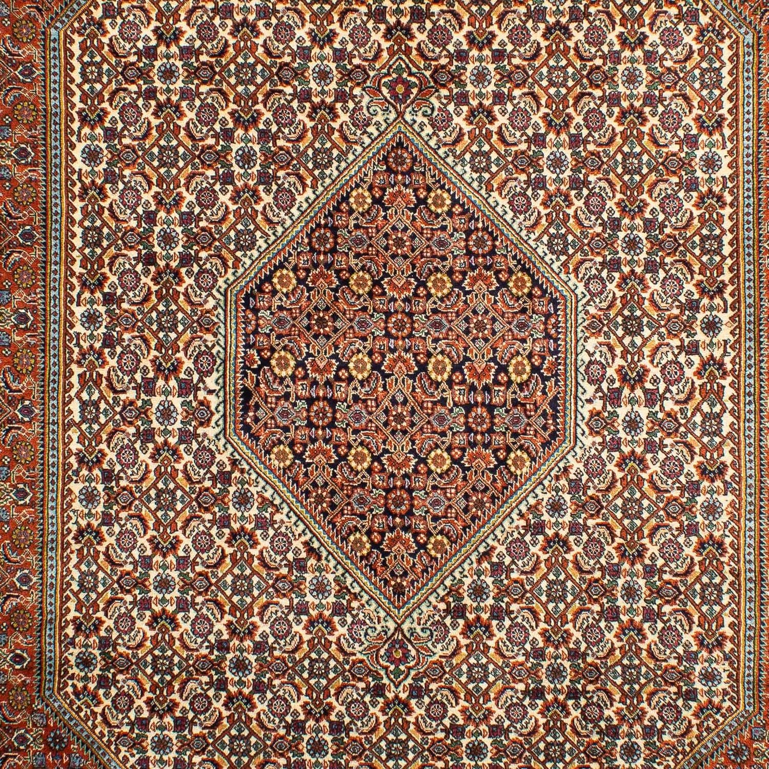 Tapis persan - Bidjar - 297 x 202 cm - rouille