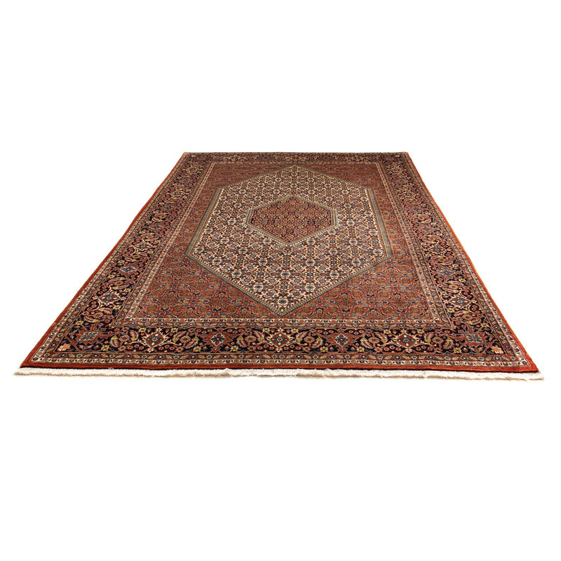Tapis persan - Bidjar - 297 x 202 cm - rouille