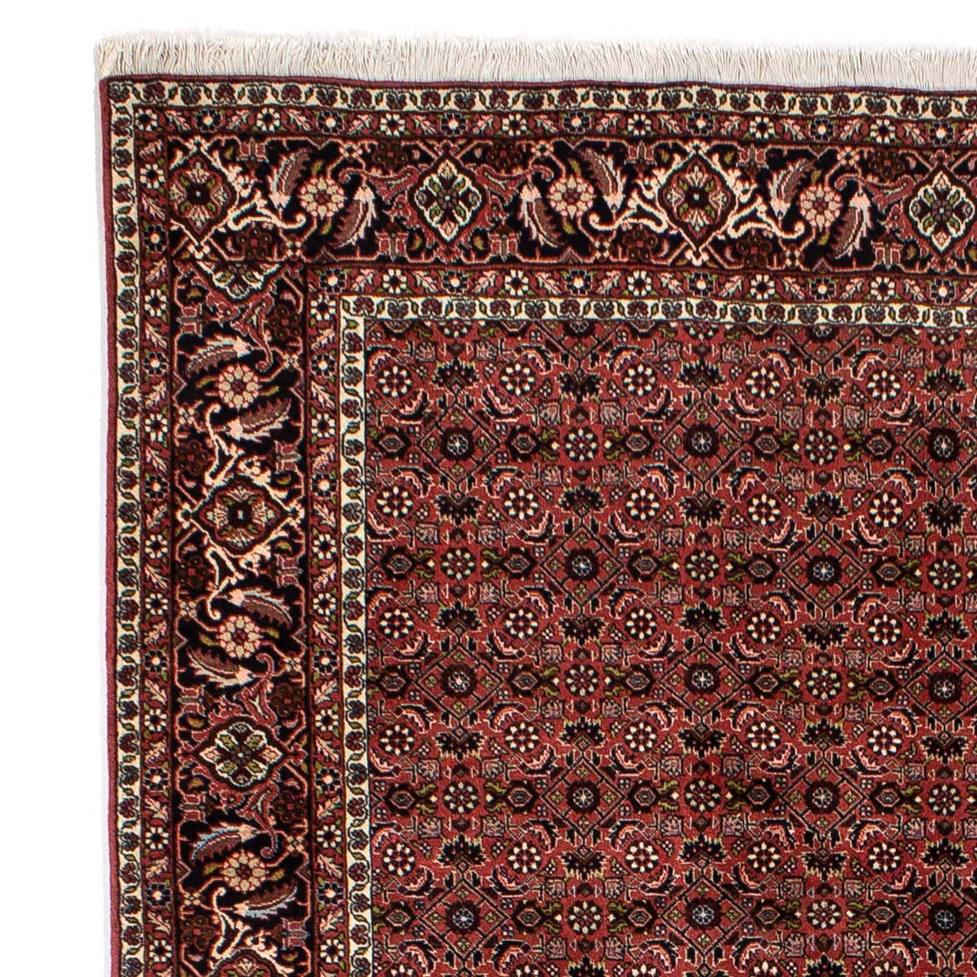 Tapis de Bidjar Tapis 295x196cm - Tapis persan