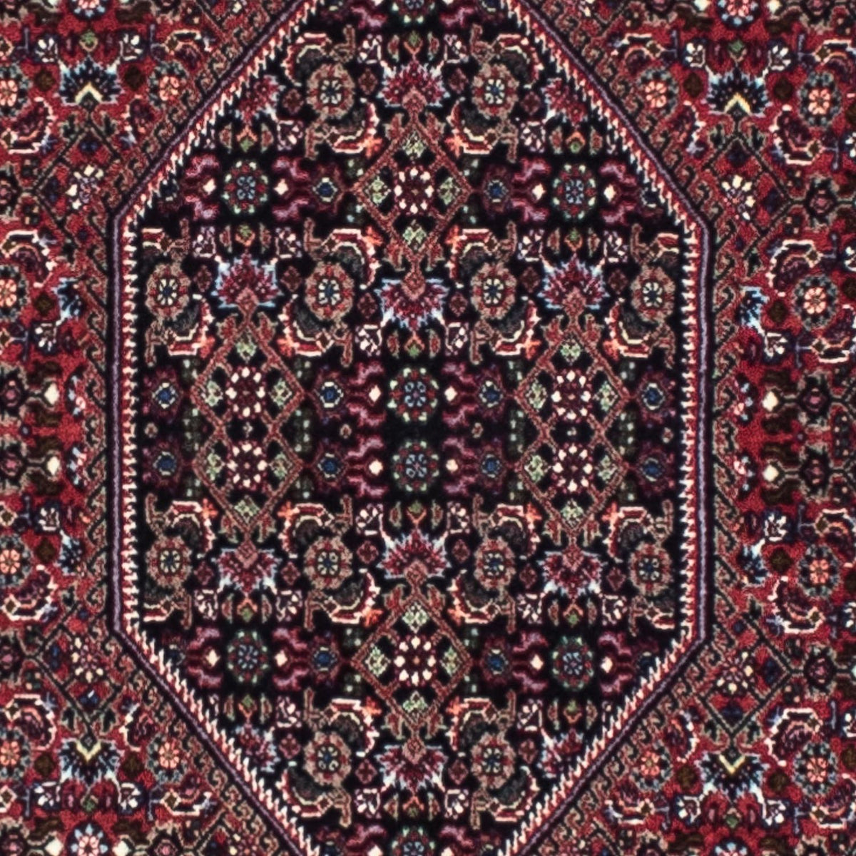 Tapis de couloir Tapis persan - Bidjar - 253 x 72 cm - rouille