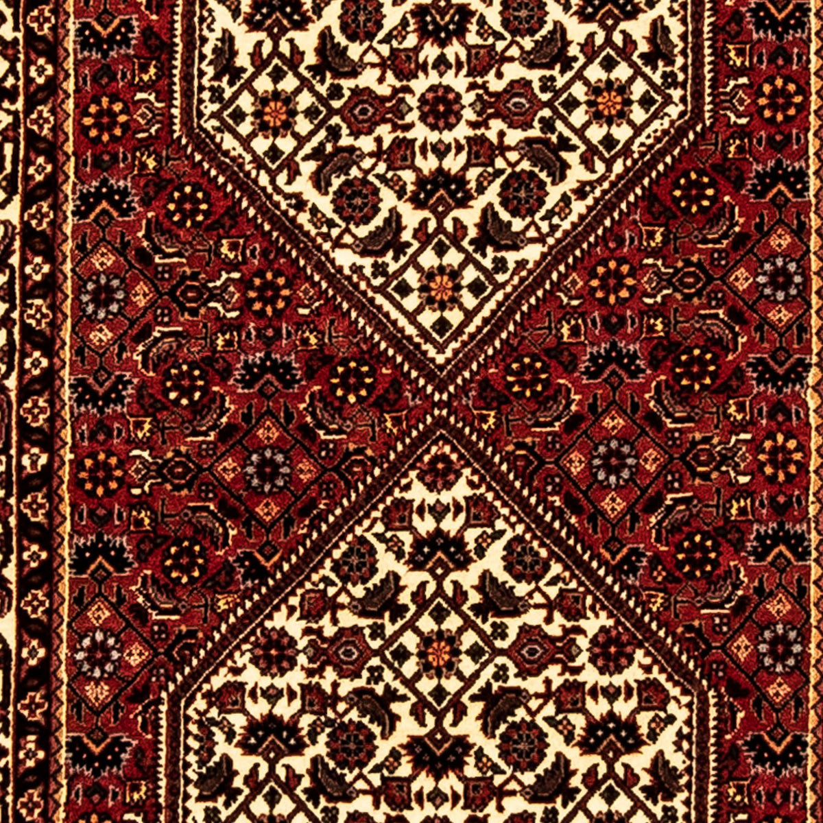 Tapis de couloir Tapis persan - Bidjar - 247 x 73 cm - multicolore