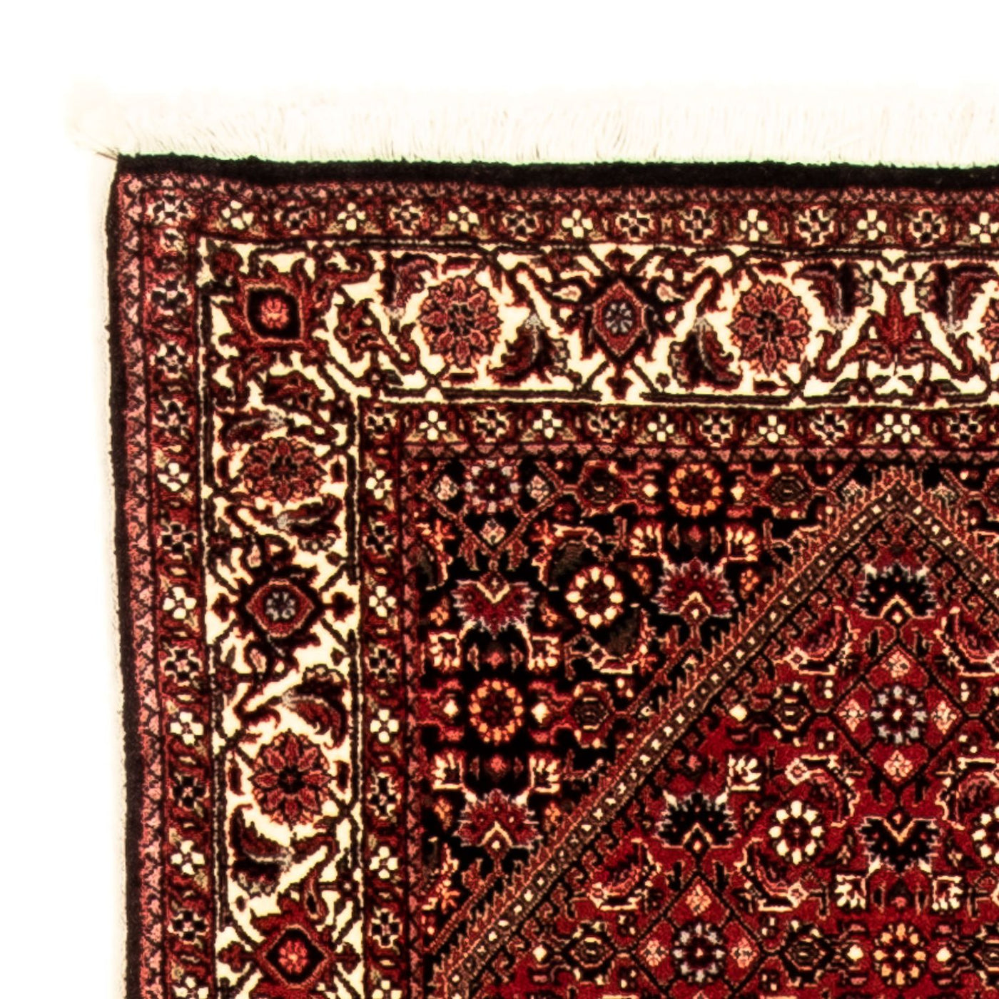 Tapis de Bidjar Tapis 315x77cm - Tapis persan