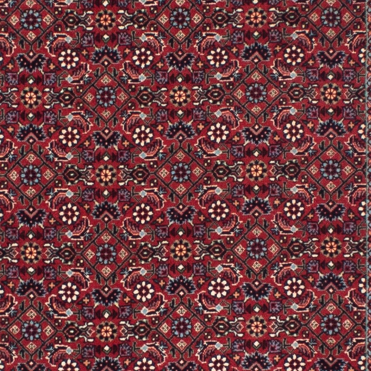 Tapis de couloir Tapis persan - Bidjar - 302 x 81 cm - rouge