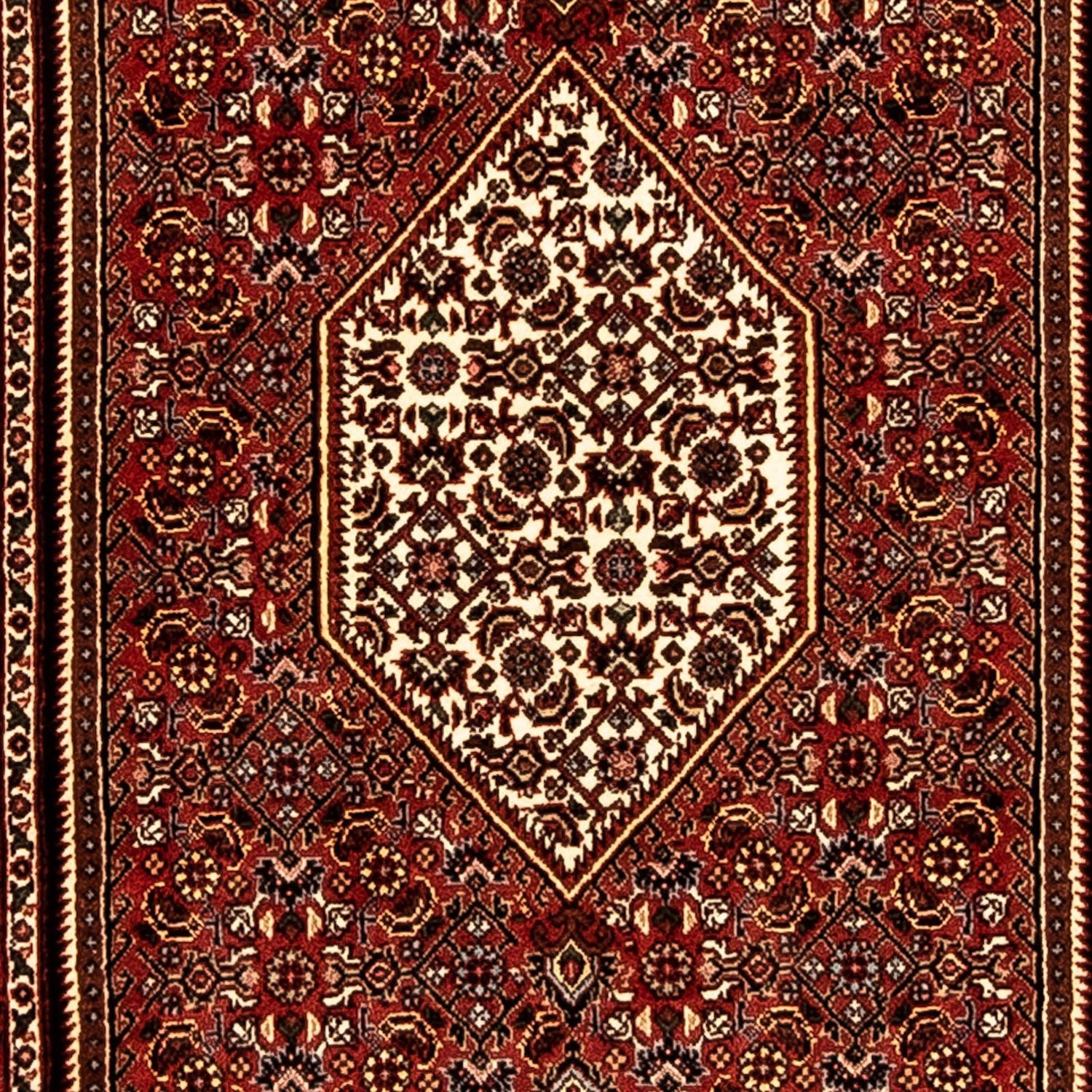Tapis de couloir Tapis persan - Bidjar - 221 x 73 cm - multicolore