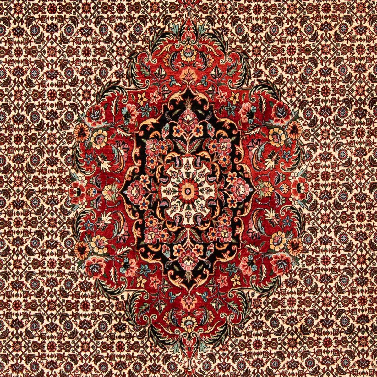 Tapis persan - Bidjar - 258 x 200 cm - rouge foncé
