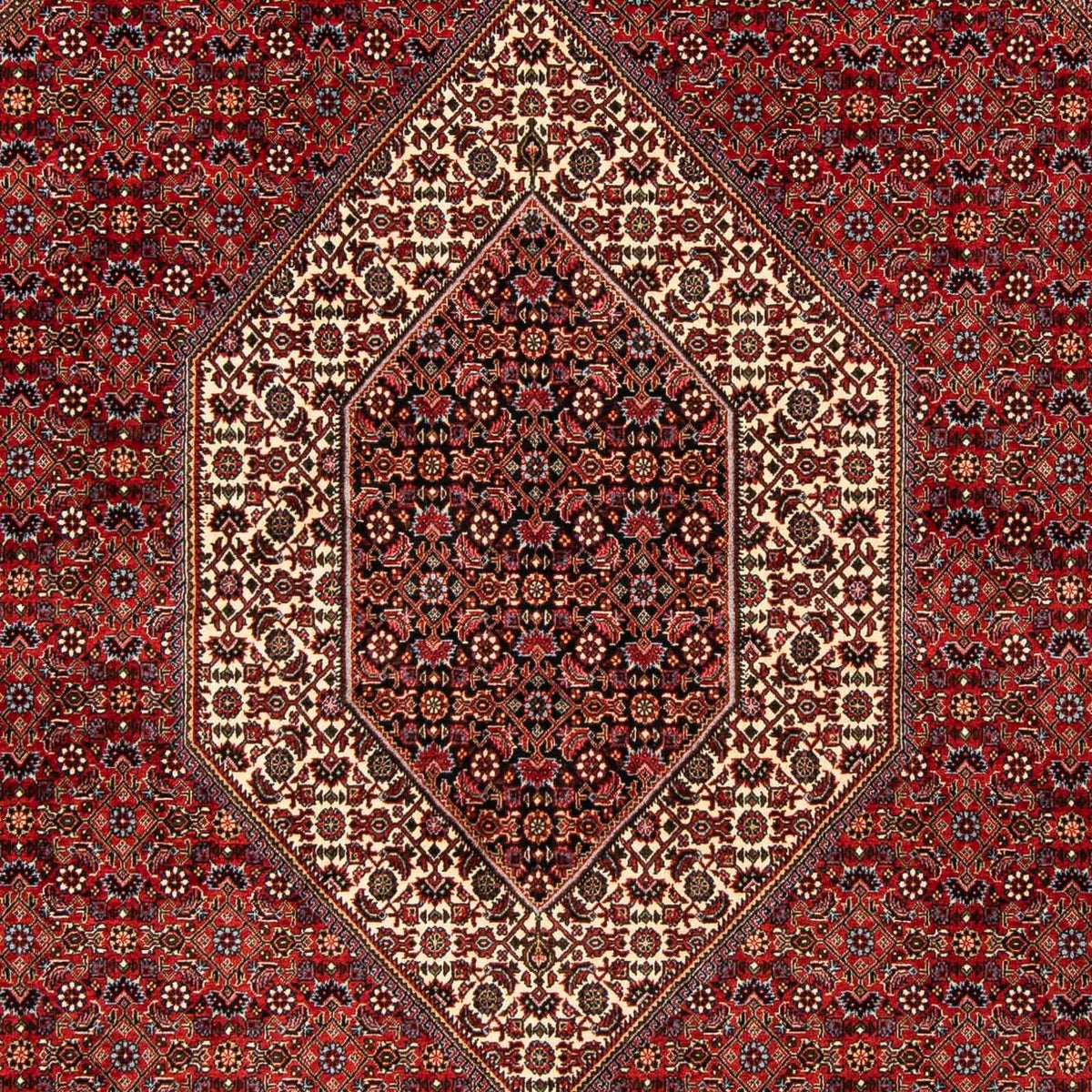 Tapis persan - Bidjar - 244 x 200 cm - rouge foncé