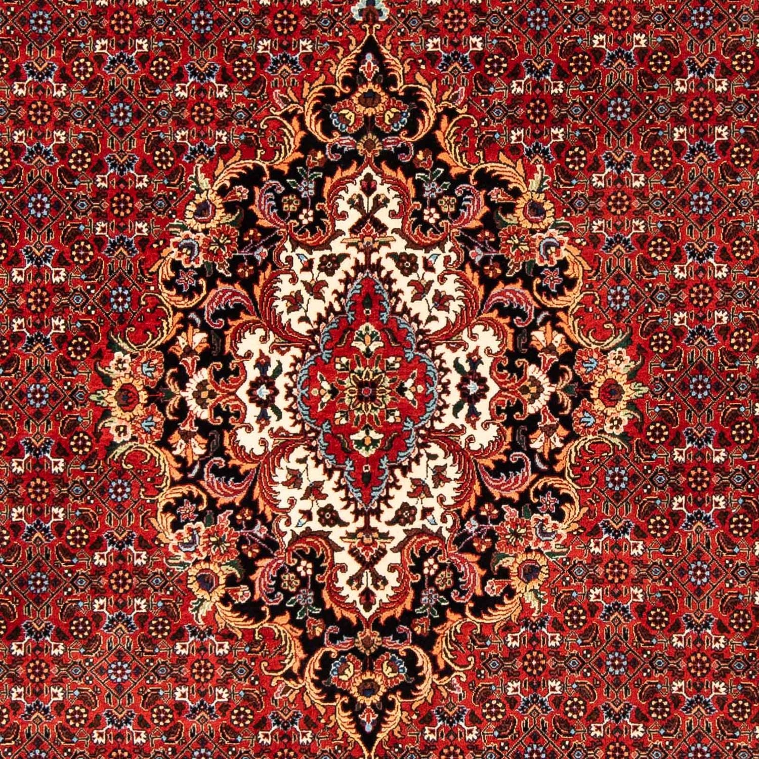 Tapis persan - Bidjar - 242 x 168 cm - rouge foncé