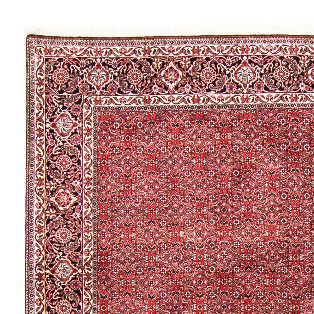 Tapis persan - Bidjar - 340 x 255 cm - rouge clair