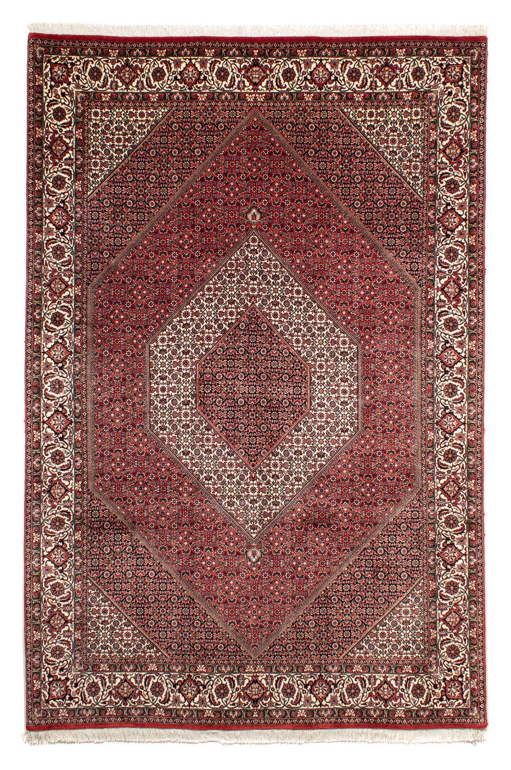 Tapis persan - Bidjar - 302 x 204 cm - rouge clair