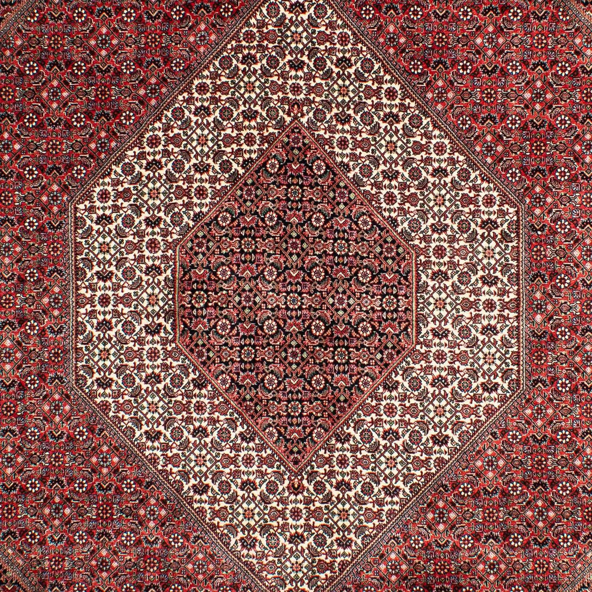 Tapis persan - Bidjar - 302 x 204 cm - rouge clair