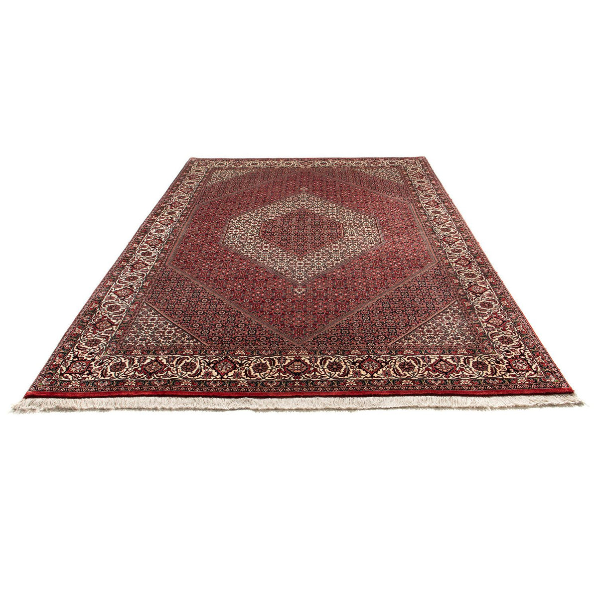 Tapis persan - Bidjar - 302 x 204 cm - rouge clair
