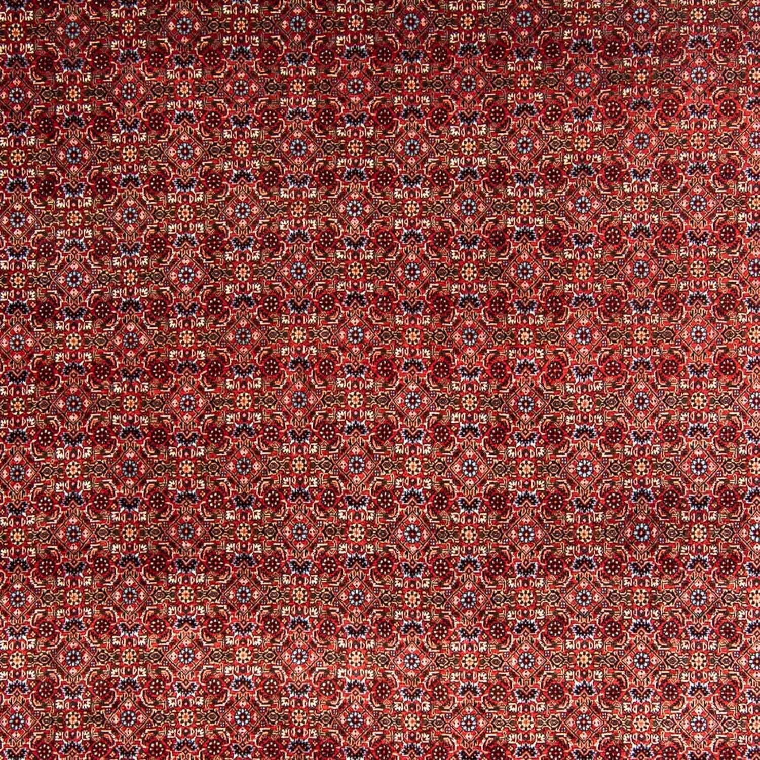 Tapis persan - Bidjar - 350 x 250 cm - rouge foncé