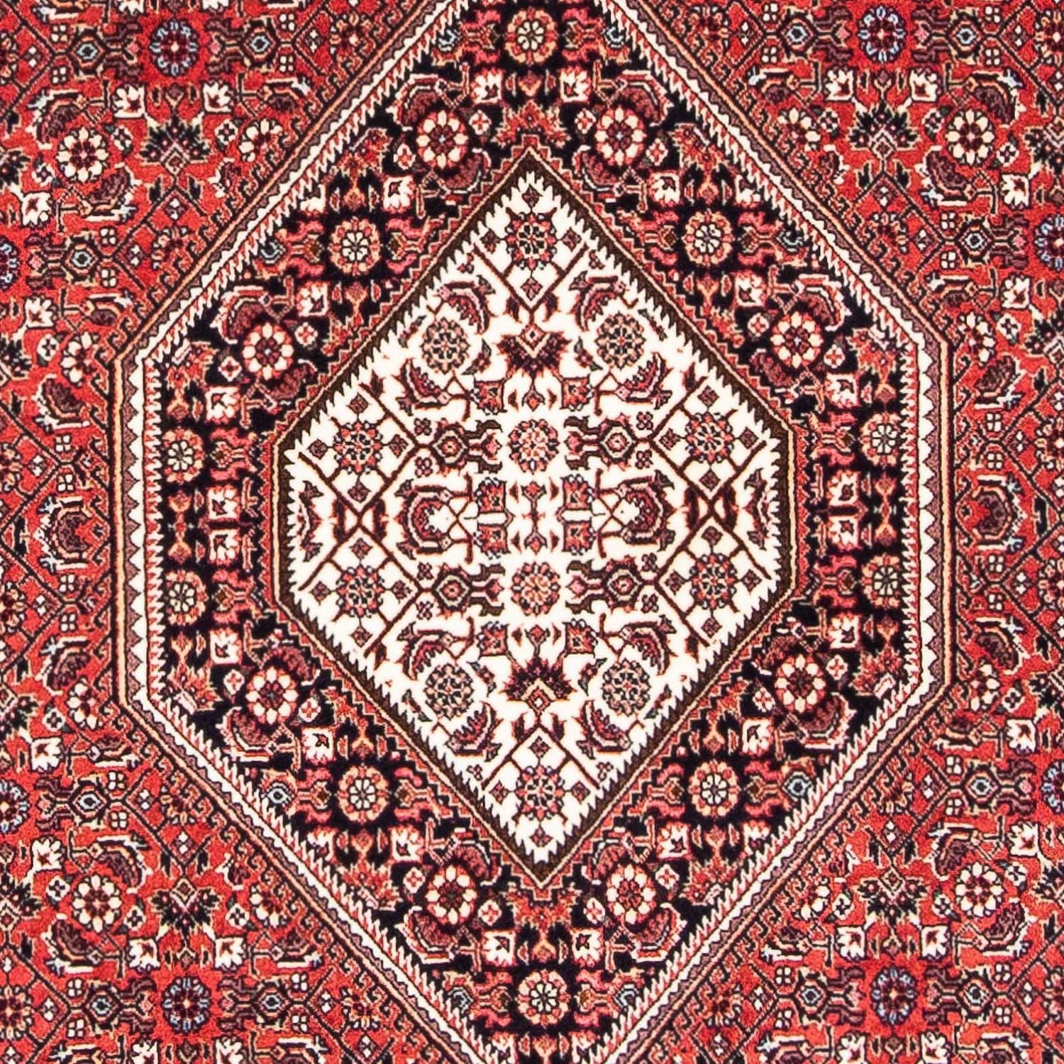 Tapis persan - Bidjar - 174 x 110 cm - rouge clair