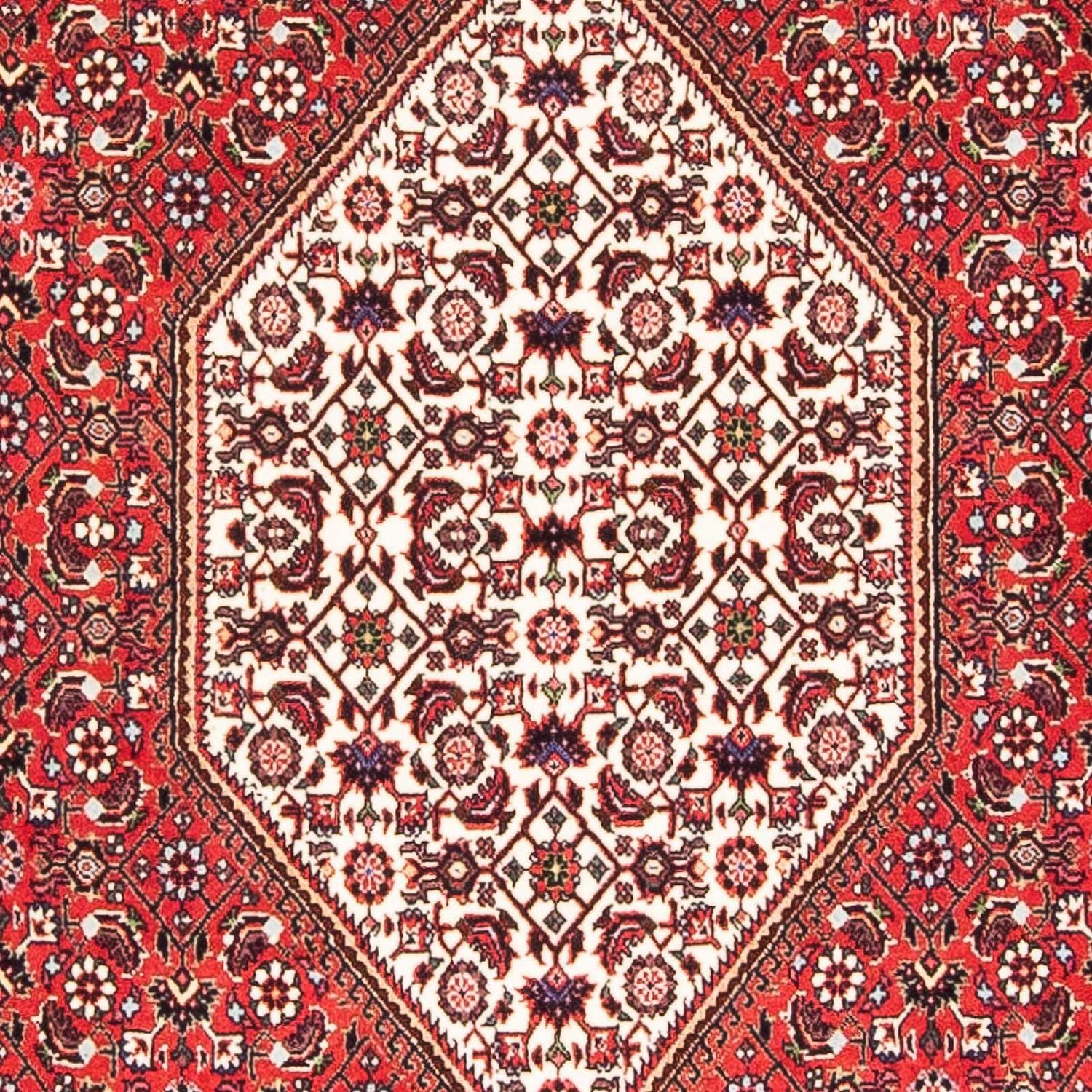 Tapis persan - Bidjar - 175 x 110 cm - rouge