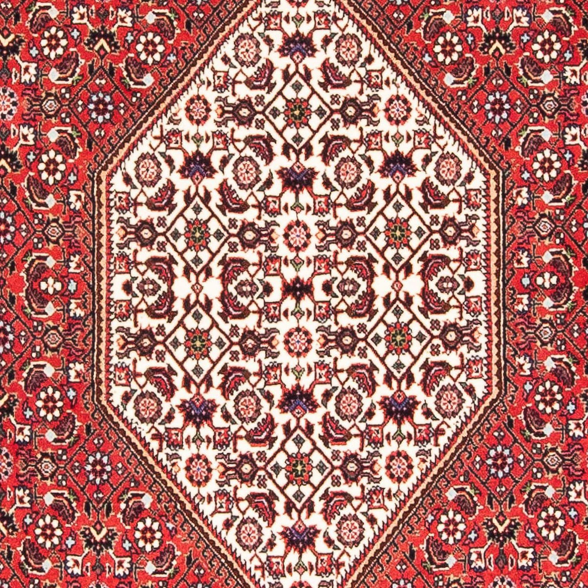 Tapis persan - Bidjar - 175 x 110 cm - rouge
