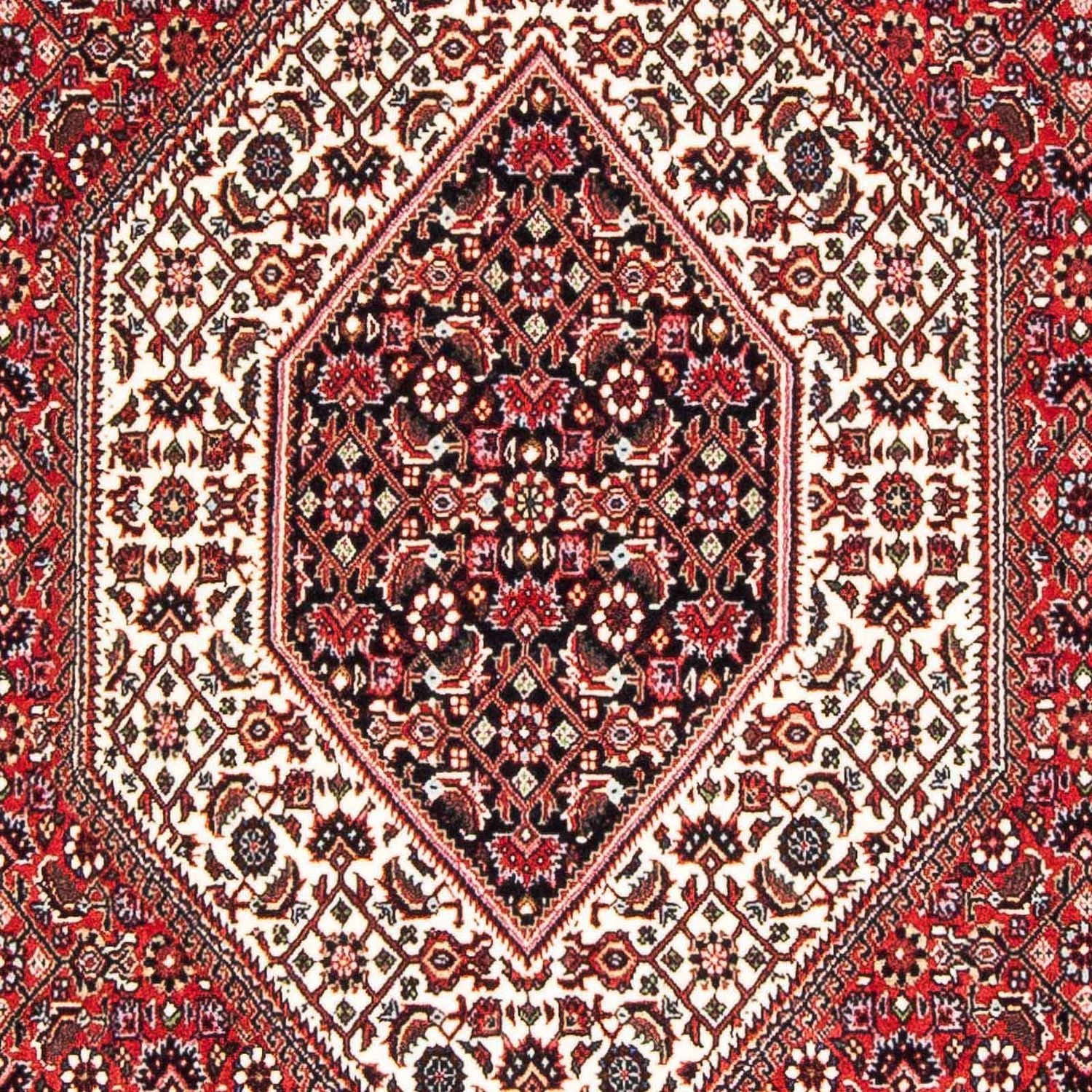 Tapis persan - Bidjar - 177 x 110 cm - rouge