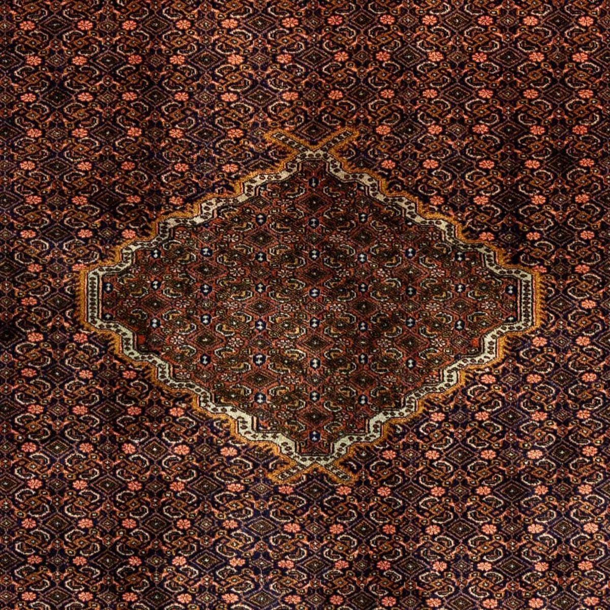 Tapis persan - Nomadic - 273 x 210 cm - marron
