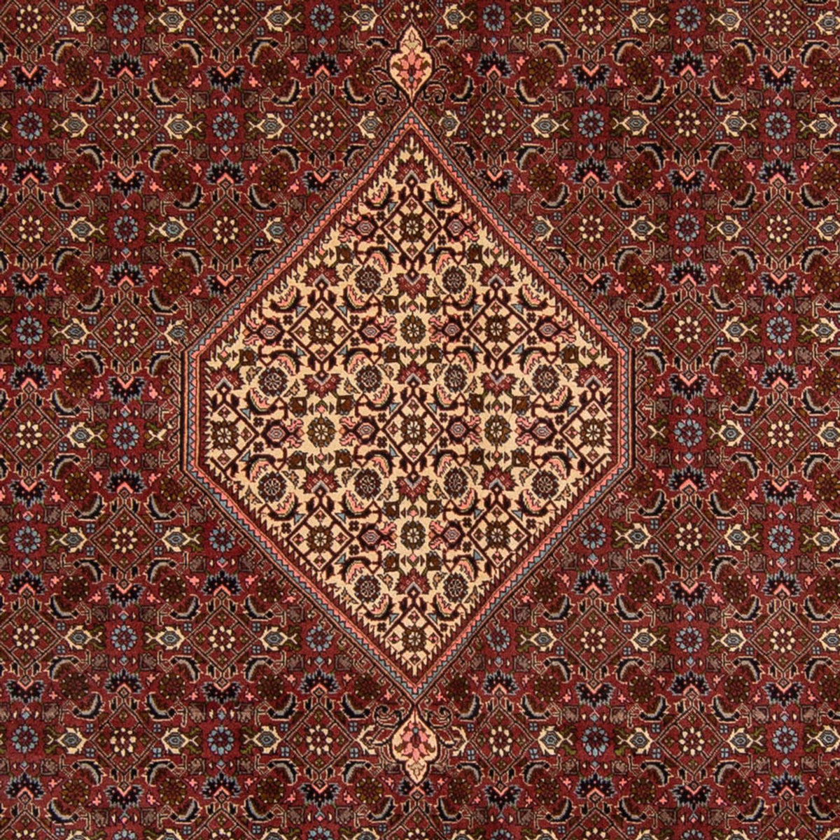 Tapis persan - Bidjar - 356 x 243 cm - marron