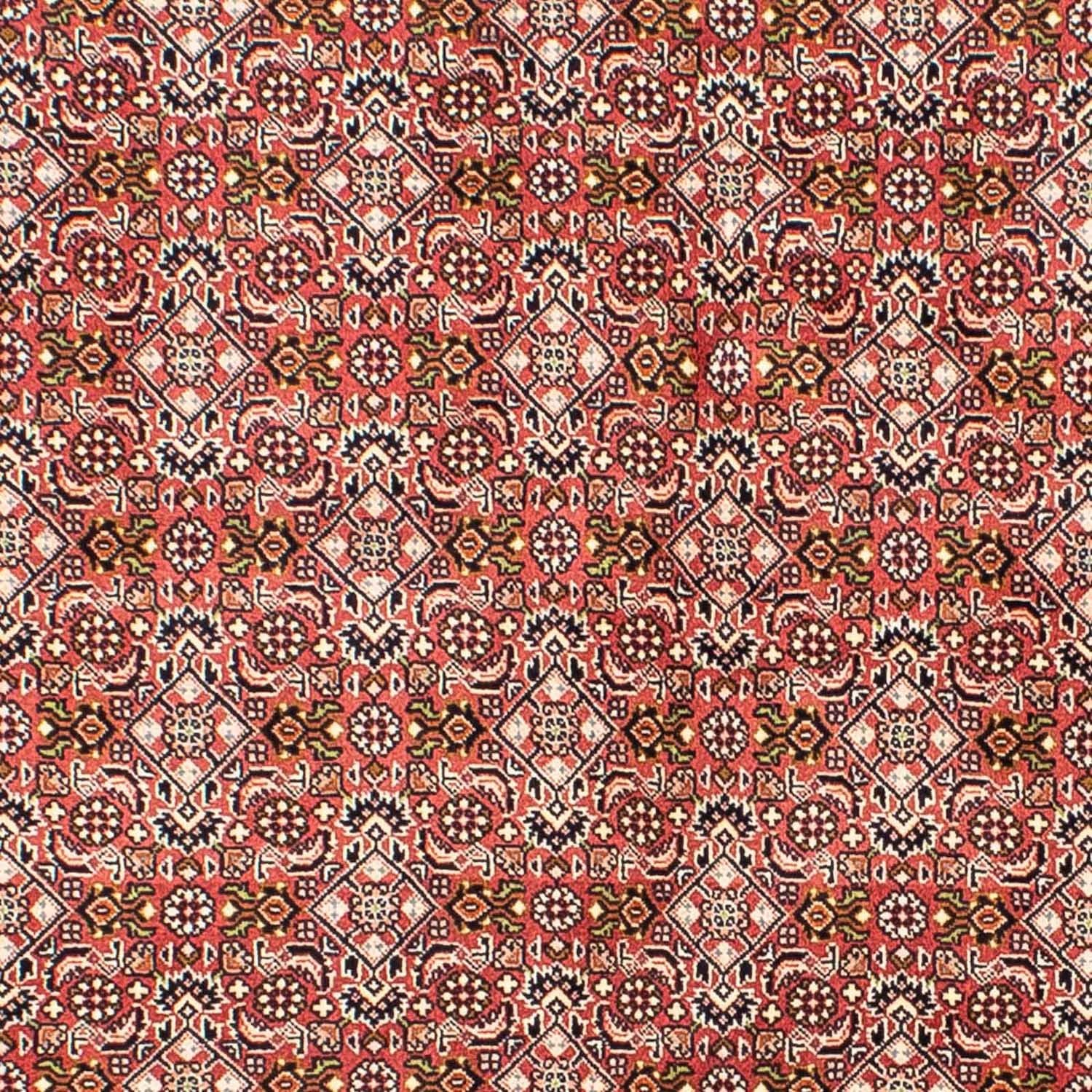 Tapis persan - Bidjar - 215 x 136 cm - rouge clair