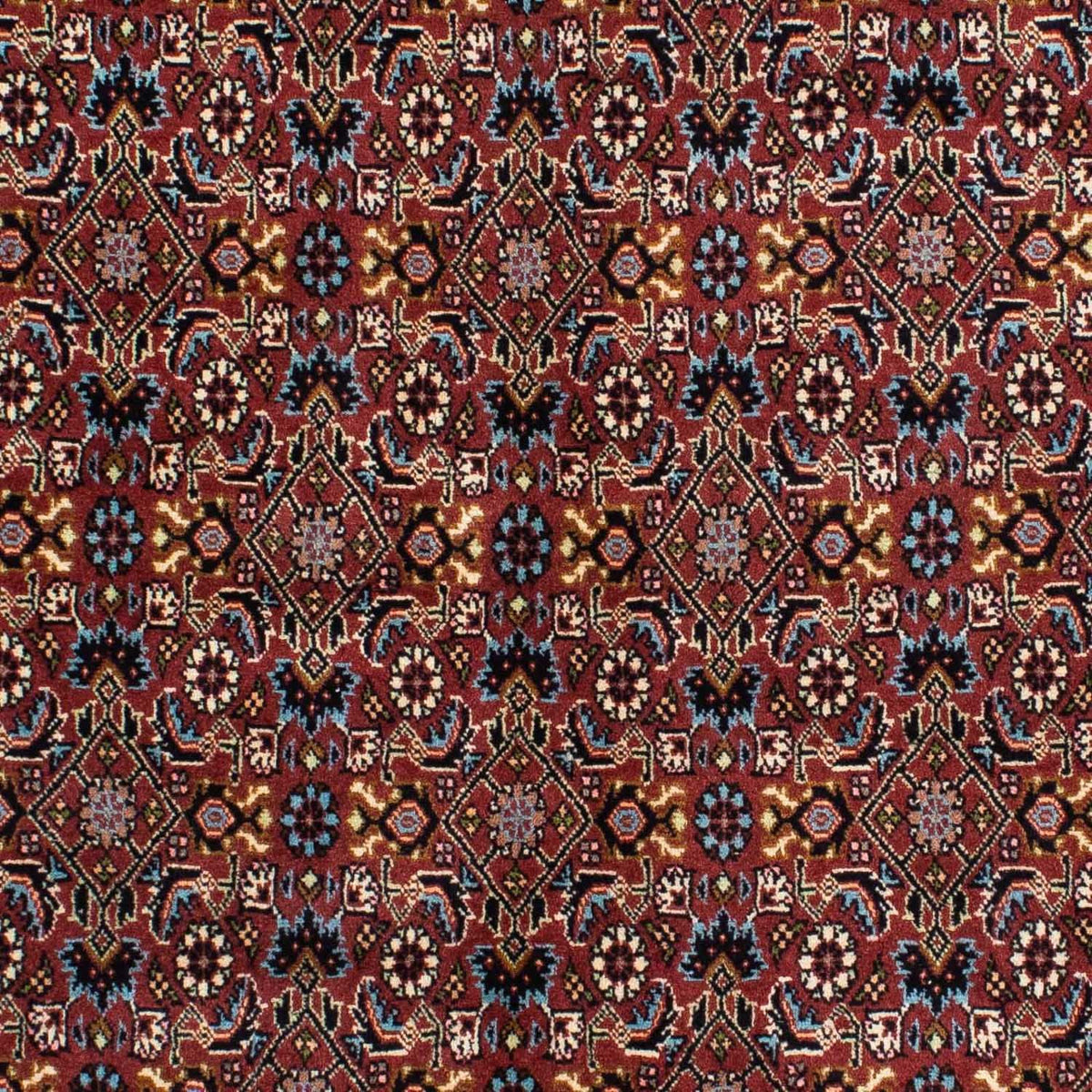 Tapis persan - Bidjar - 210 x 139 cm - rouge