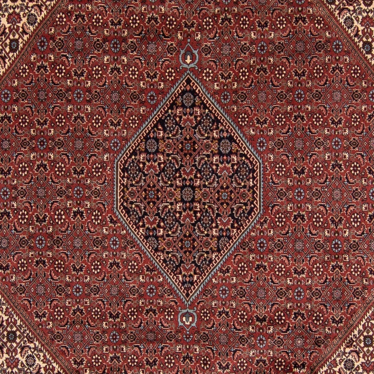 Tapis persan - Bidjar - 342 x 250 cm - marron