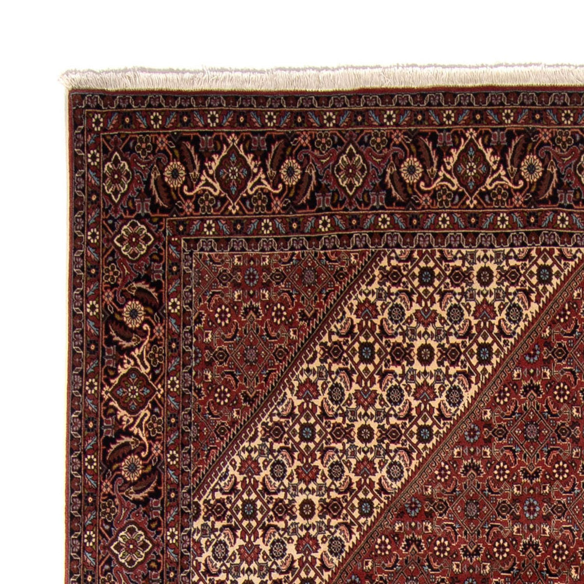Tapis persan - Bidjar - 342 x 250 cm - marron