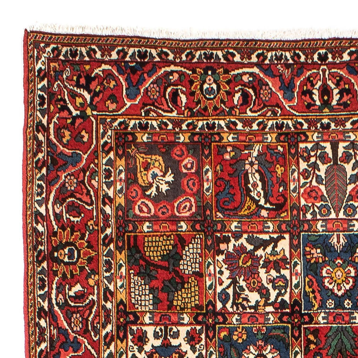 Tapis Bakhtiari Tapis 161x246cm - Tapis persan