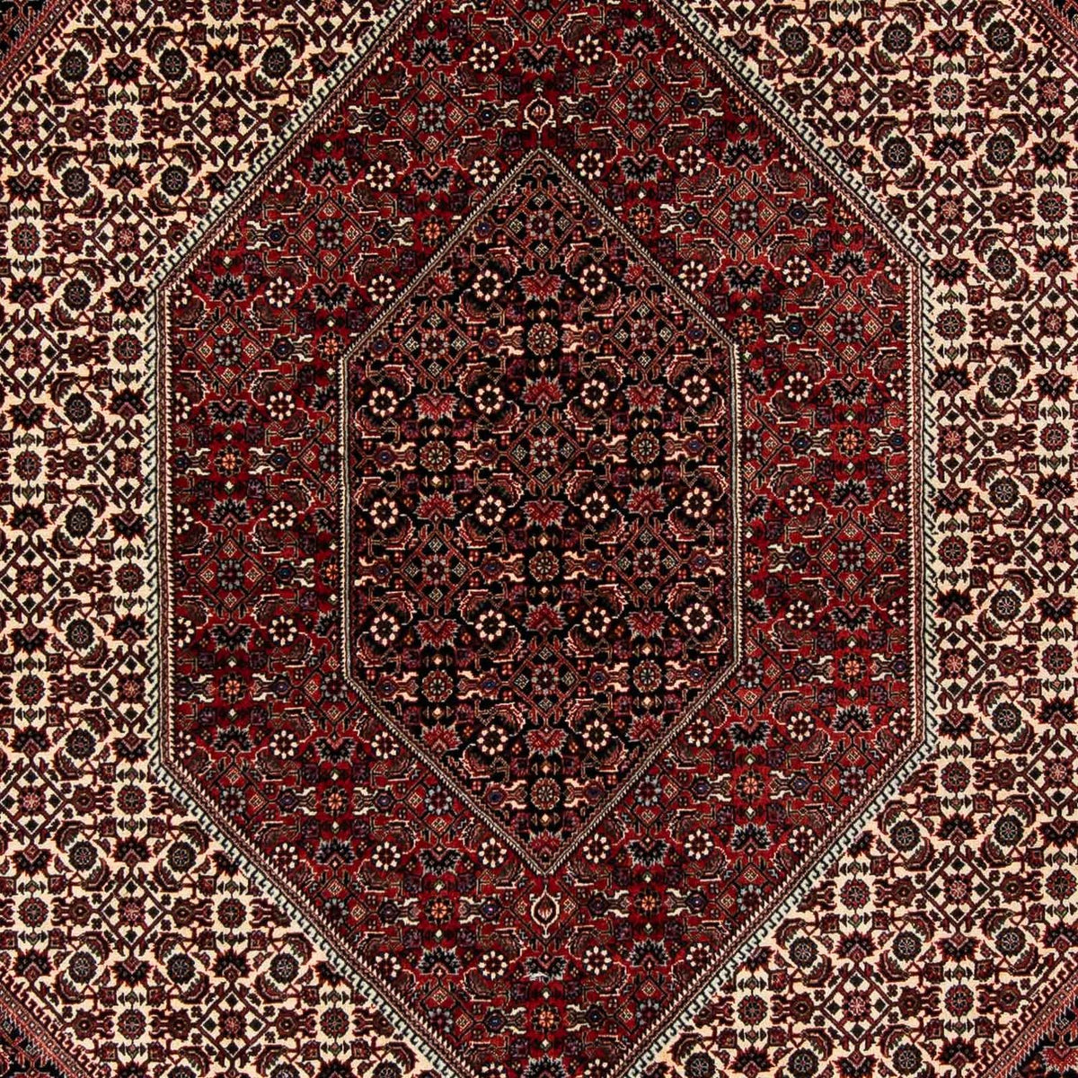 Tapis persan - Bidjar - 267 x 201 cm - rouge foncé
