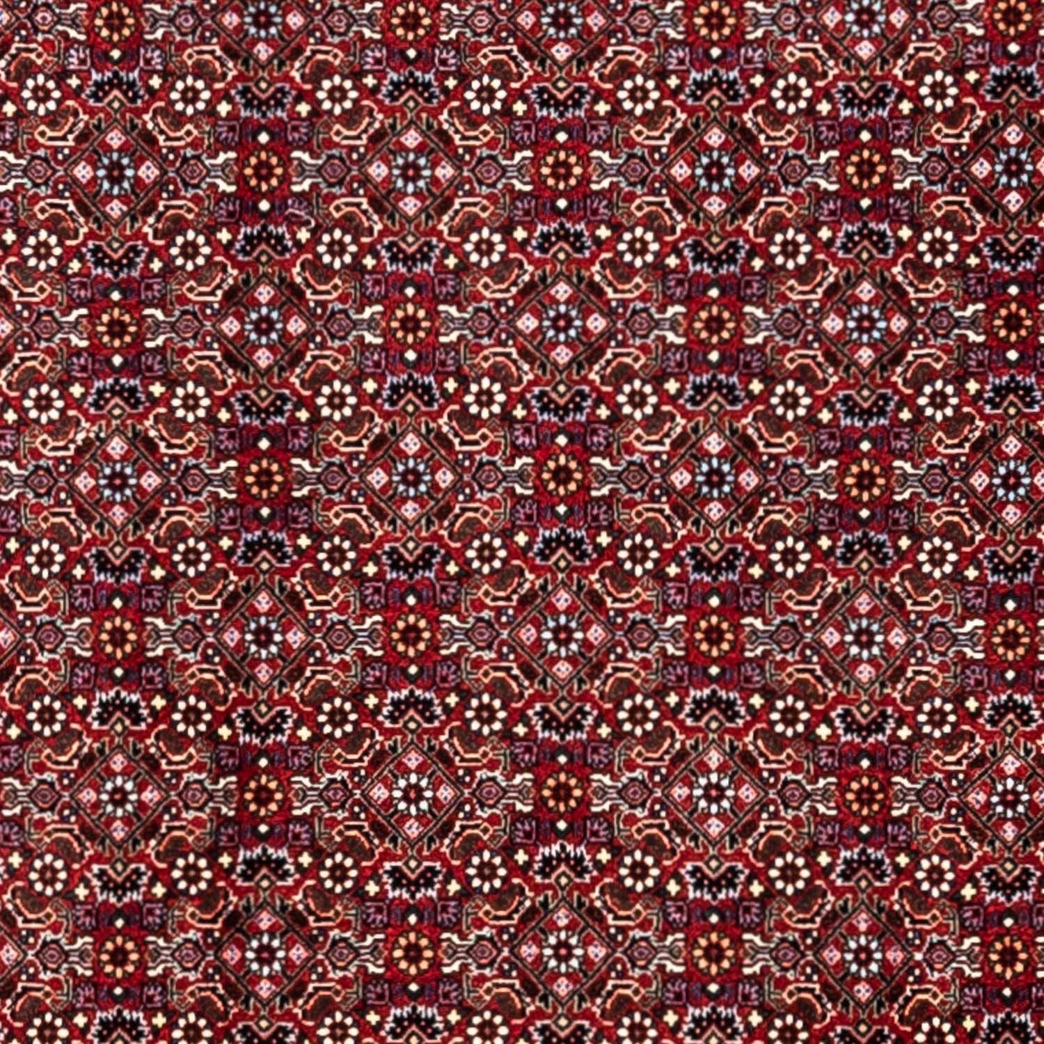 Tapis persan - Bidjar - 340 x 252 cm - rouge