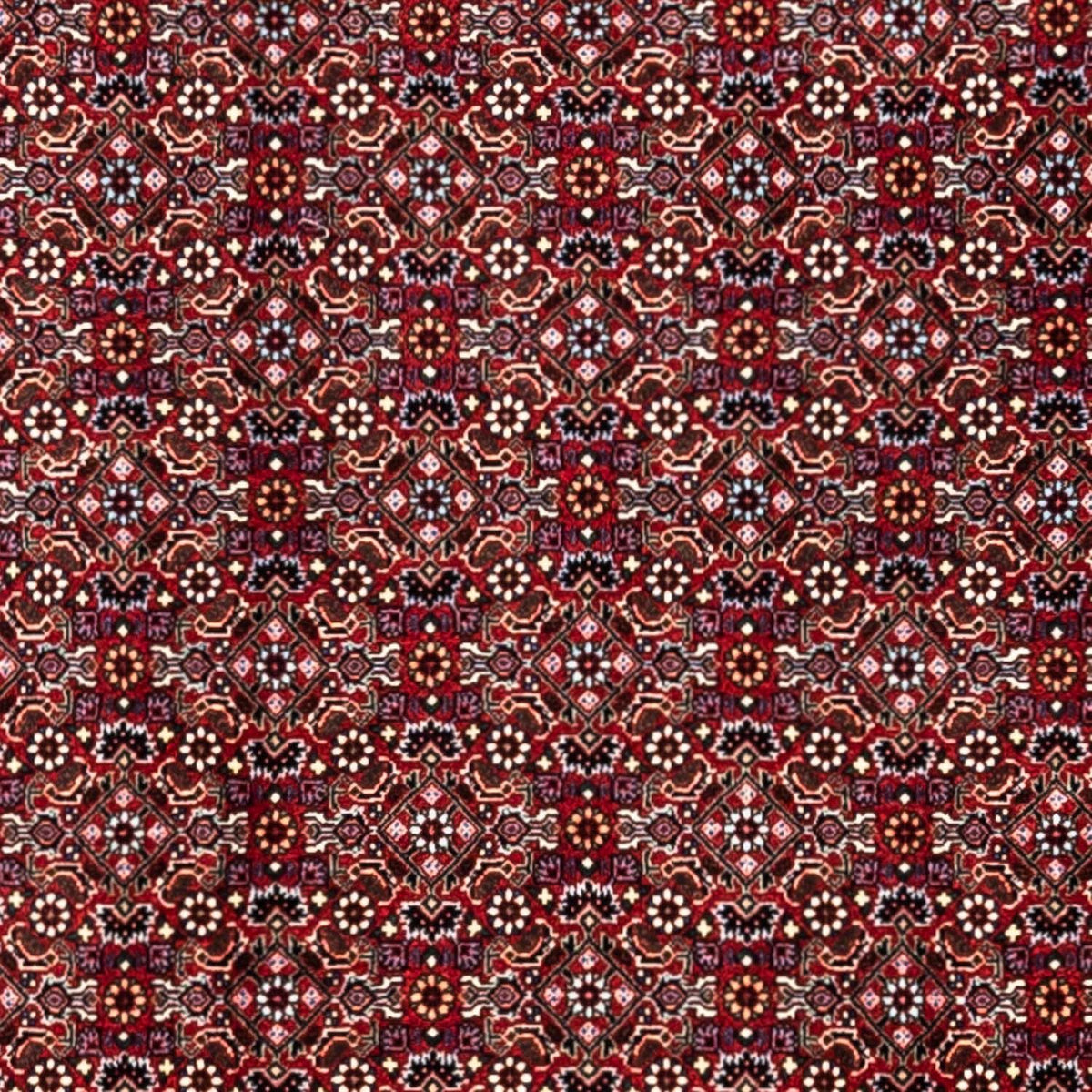 Tapis persan - Bidjar - 340 x 252 cm - rouge