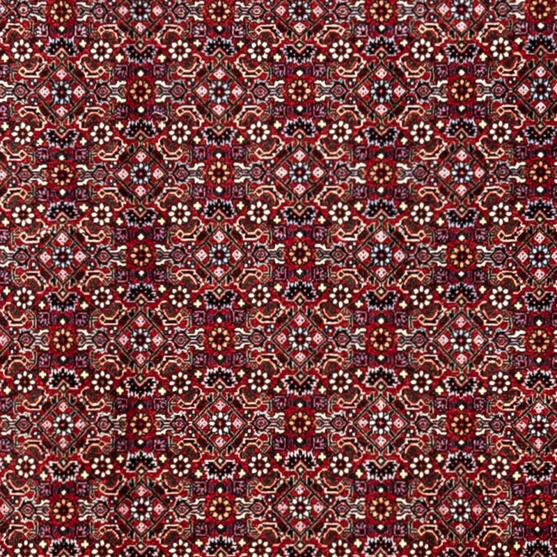 Tapis persan - Bidjar - 340 x 252 cm - rouge