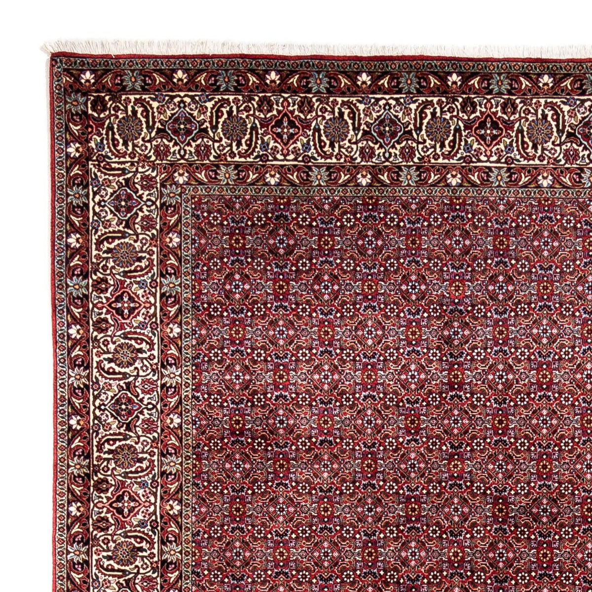 Tapis persan - Bidjar - 340 x 252 cm - rouge