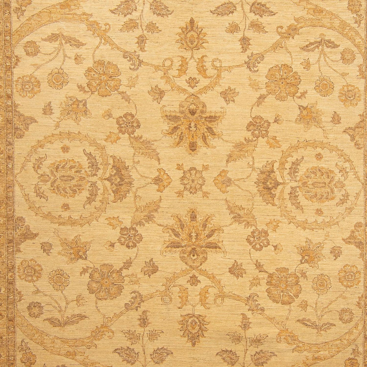 Tapis Ziegler - 364 x 280 cm - marron clair