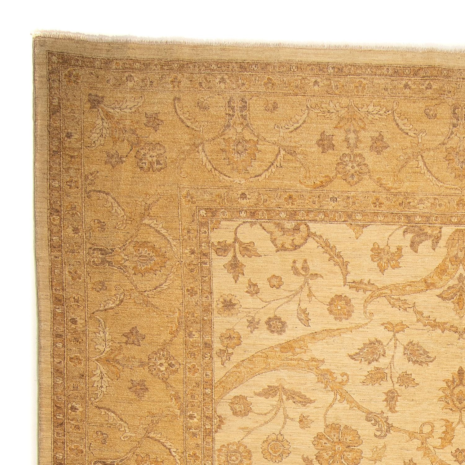 Tapis Ziegler - 364 x 280 cm - marron clair