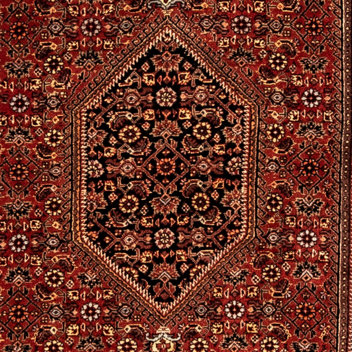 Tapis de couloir Tapis persan - Bidjar - 277 x 80 cm - rouge foncé