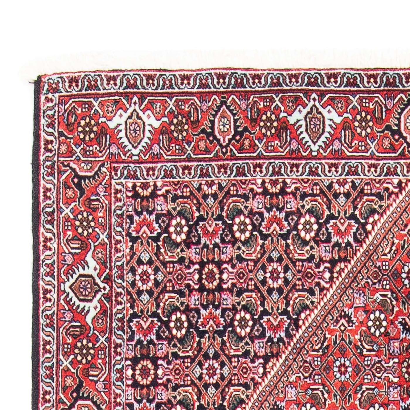 Tapis de Bidjar Tapis 169x106cm - Tapis persan