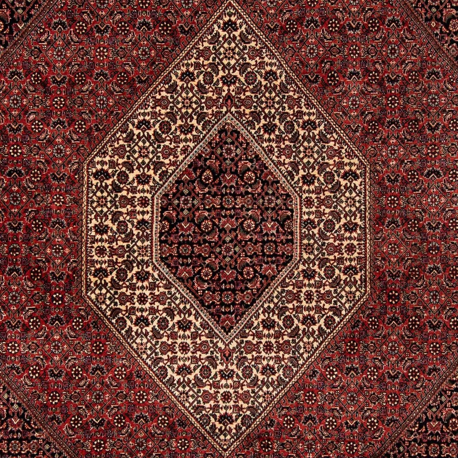 Tapis persan - Bidjar - 259 x 201 cm - rouge foncé