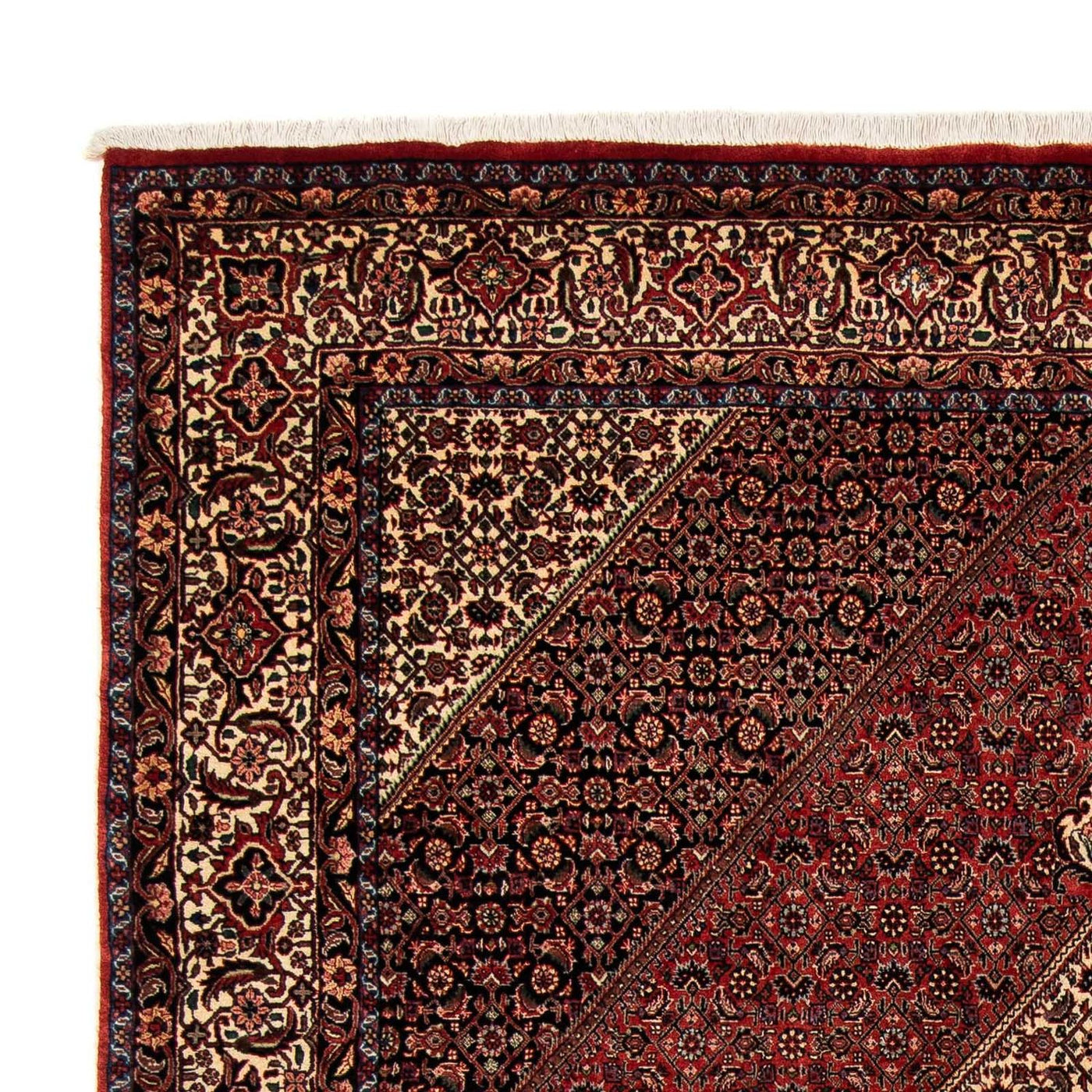 Tapis de Bidjar Tapis 259x201cm - Tapis persan